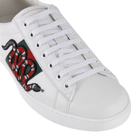 scarpe gucci serpente